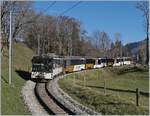 Die MOB GDe 4/4 6005 mit einem MOB Panoramic Express von Montreux nach Zweisimmen zwischen Les Sciernes und Montbovon.