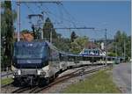 Die MOB Ge 4/4 8004 schieb ihren Golden Pass Panoramic bei Fontanivent in Richtung Montreux.