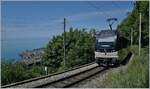 Neben dem Blick auf den nach Montreux fahrenden Be 4/4 9201  Alpina  gleitet der Blick auch über den tief unten liegenden See und die ihn umgebende Landschaft.