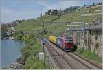 Nach Problemen mit dem ETCS und der Umdisponierung der SBB Cargo Vectroms von Nicht-ETCS-Strecken sind die SBB Cargo Vectroms vereinzelt wieder auf der Simplonlinie zu sehen, wobei sich die 193 077 in Rivaz mit ihren drei Wagen nicht über zu viel Arbeit beklagen kann. 

19. Mai 2025