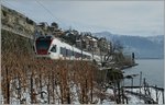 Schnee im Lavaux ist eher selten.