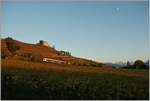 Kurz bevor die Sonne verschwand zeigt sich dieser nach Lausanne fahrende Flirt in den Weinreben bei Lutry.