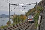 Der SBB RABe 523 031 auf der Fahrt nach Villeneuve beim Château de Chillon.