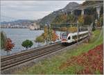 Ein SBB RABe 523 ist in der bunten Herbstlandschaft beim Château de Chillon auf dem Weg anch Villeneuve.