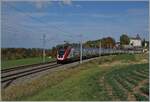 Die SBB  Twindexx  RABe 502 213-7 und RABDe 009-9 (Stadt St.Gallen) sind bei Oron auf der Fahrt nach Genève Aéroport.