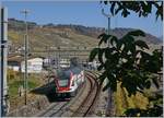 Der SBB RABe  511 116 auf dem Weg nach Vevey bei Cully.