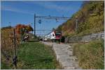 Ein SBB RABe 511 nach Romont zwischen Bossière und Grandvaux.