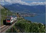 Der SBB RABe 511 029, unterwegs als RE 30227 von Genève nach Fribourg, hat Vevey vor wenigen Minuten verlassen und nun bereits beträchtlich an Höhe gewonnen, als ich ich kurz vor dem