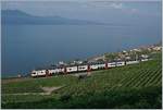 Der SBB RABe 511 401 als S Bahn auf der  Train de Vignes  Strecke bei Chexbres.