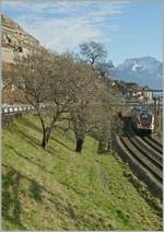 Ein SBB RABe 511 (KISS) auf dem Weg nach Lausanne am Ufer des Genfer See kurz vor Rivaz.