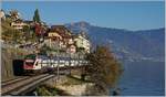 Zwei SBB KISS RABe 511 nach Vevey bei St-Saphorin.