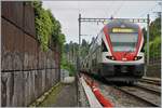 Zwischen Stützmauer und Lärmschutzwand verläuft hier die Strecken zwischen Montreux und Clarens, im Bild der SBB RABe 511 021 auf dem Weg nach Geneve.