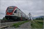 Der SBB RABe 511 019 ist bei der Rhonebrücke von Massogex dem dem Weg in nahe St-Maurice.