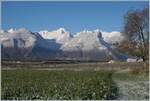 Kurz vor Aigle ist ein SBB RABe 523 auf dem Weg von Le Brassus nach Aigle und zeigt sich vor den verschneiten Walliser Alpen im Chablais.