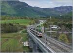 Obwohl auf den ersten Blick man glaubt, eine Schnellfahrstrecke vor sich zu haben, handelt es sich hier  nur  um eine Regionalbahnstrecke, die Stabio (CH) mit Aricate (I), und somit Lugano mit Varese