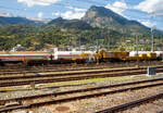 Der Kran IX der Vanomag AG ein 130t GOTTWALD GS 130.10 TS Eisenbahnkran (VTmass 80 85 95 81 702-0 /DB 97 82 54 502 19-5) mit Schutzwagen (80 85 9706 408-4 RID) und Gegengewichtswagen (VTmass 80 85 9806 412-5 Rgs), am 11 Juli 2022 abgestellt in Brig, aufgenommen aus einem fahrenden ICN.
Der Kran wurde 2001 von Gottwald in Düsseldorf unter der Fabriknummer 846 488 gebaut.
Der GS 130.06 TT ist eine Weiterentwicklung des GS 80.08 T. Folgende Verbesserungen wurden vorgenommen, die den Einsatzbereich des Kranes nochmals erweitern: Der Einsatz eines dreiteiligen Auslegers ermöglicht eine wesentliche Erweiterung des Arbeitsbereiches. Durch die kürzere Bauform des Auslegers beginnt der verfügbare Bereich horizontal bereits 3,0 m vor Puffer mit einer Tragfähigkeit von 98,0 t (freistehend 78,0 t). Damit ist er der einzige am Markt verfügbare Gleisbau-Drehkran, der diese, gerade für den Brückenbau, wesentliche Fähigkeit besitzt.
TECHNISCHE DATEN:
Spurweite: 1.435 mm
Anzahl der Achsen: 8 (in 4 Drehgestelle bzw. 2 Doppeldrehgestelle)
Unterwagenlänge über Puffer: 14.000 mm
Breite in Transportstellung: 3.100 mm
Höhe in Transportstellung: 4.250 mm
Drehzapfenabstand: 9.000 mm
Laufkreisdurchmesser der Räder: 730 mm (neu)
Gesamtgewicht  in Transportstellung:116 t (Gegengewicht abgelegt)
Größter Achsdruck in Transportstellung: 14,5 t
Schwenkwinkel des Oberwagens: 30° 
Max. hintere seitlich Ausladung: 2.000 mm
Maximale Ausladung vor Puffer : 18 m
Kleinster befahrbarer Bogenradius: 90 m
Höchstgeschwindigkeit: 25 km/h (eigen) / 100 km/h (geschleppt)
Die Überhöhungsausgleich-Einrichtung stellt den Kran immer waagerecht. Diese neuartige elektro-hydraulische Steuerung arbeitet in Überhöhungen bis zu 180 mm. Somit entfällt die Reduzierung der frei stehenden Tragfähigkeiten.
 Der Kran IX der Vanomag AG ein 130t GOTTWALD GS 130.10 TS Eisenbahnkran (VTmass 80 85 95 81 702-0 /DB 97 82 54 502 19-5) mit Schutzwagen (80 85 9706 408-4 RID) und Gegengewichtswagen (VTmass 80 85 9806 412-5 Rgs), am 11 Juli 2022 abgestellt in Brig, aufgenommen aus einem fahrenden ICN.
Der Kran wurde 2001 von Gottwald in Düsseldorf unter der Fabriknummer 846 488 gebaut.
Der GS 130.06 TT ist eine Weiterentwicklung des GS 80.08 T. Folgende Verbesserungen wurden vorgenommen, die den Einsatzbereich des Kranes nochmals erweitern: Der Einsatz eines dreiteiligen Auslegers ermöglicht eine wesentliche Erweiterung des Arbeitsbereiches. Durch die kürzere Bauform des Auslegers beginnt der verfügbare Bereich horizontal bereits 3,0 m vor Puffer mit einer Tragfähigkeit von 98,0 t (freistehend 78,0 t). Damit ist er der einzige am Markt verfügbare Gleisbau-Drehkran, der diese, gerade für den Brückenbau, wesentliche Fähigkeit besitzt.
TECHNISCHE DATEN:
Spurweite: 1.435 mm
Anzahl der Achsen: 8 (in 4 Drehgestelle bzw. 2 Doppeldrehgestelle)
Unterwagenlänge über Puffer: 14.000 mm
Breite in Transportstellung: 3.100 mm
Höhe in Transportstellung: 4.250 mm
Drehzapfenabstand: 9.000 mm
Laufkreisdurchmesser der Räder: 730 mm (neu)
Gesamtgewicht  in Transportstellung:116 t (Gegengewicht abgelegt)
Größter Achsdruck in Transportstellung: 14,5 t
Schwenkwinkel des Oberwagens: 30° 
Max. hintere seitlich Ausladung: 2.000 mm
Maximale Ausladung vor Puffer : 18 m
Kleinster befahrbarer Bogenradius: 90 m
Höchstgeschwindigkeit: 25 km/h (eigen) / 100 km/h (geschleppt)
Die Überhöhungsausgleich-Einrichtung stellt den Kran immer waagerecht. Diese neuartige elektro-hydraulische Steuerung arbeitet in Überhöhungen bis zu 180 mm. Somit entfällt die Reduzierung der frei stehenden Tragfähigkeiten.
