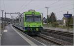 Der BLS RABe 565 731 nach Büren erreicht Busswil.