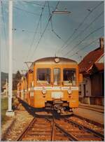  Viertelstundentaktzüge  lese ich in meinen Notizen zu diesen WSB Pendelzügen beim Halt in Gontenschwil.