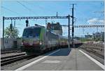 lausanne/550966/leider-nicht-wie-vorgesehen-auf-gleis Leider nicht wie vorgesehen auf Gleis 3 sondern auf Gleis 6 fuhr der von der BLS Re 475 404 geführte AKE Rheingold durch Lausanne.
13. April 2017