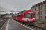 So ganz passt der BDe 4/4 I 222 nicht zum �brigen Material des Bier-Zuges, aber immerhin bereichert der rote Triebwagen das Betriebsgeschehen durch die Abwechslung auf positive Weise. Der im Rahmen der Bier Arena Murten verkehrende Zug des Verein Pen ...