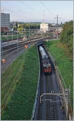 F�r eine fl�ssige Betriebsabwicklung besitzt der Rangierbahnhof Lausanne Triage neben einer  Schliefe  im westlichen Bahnhofsteil auch diese Verbindungstrecke, welche von einer SBB Re 4/4 II mit ihrem