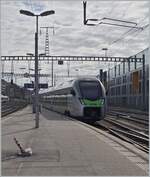 Die Ablösung der EW III: der MIKA. Der BLS 528 105 erreicht als IR von Bern kommend Neuchâtel. Baustellenbedingt endet hier die Fahrt (statt in La Chaux-de-Fonds).

6. Juni 2021