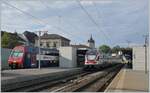 In Schaffhausen wartet der SBB RABe 511 023 als RE nach Zürich auf die Abfahrt. Zwischenzeitlich sind die Leistungen mehrheitlich auf die neuen RABe 512 übergegangen.

8. Juni 2022