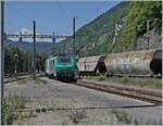 Die SNCF 27067, welche den Gegenzug (im Hintergrund) nachgeschoben hat, manöveriert sich an den Güterzug in Vallorbe. 

16. Juni 2022