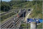 Ein SBB RABe 502 in voller (Druch) Fahrt in Wanzwil (Dienst- und Abzweigstation).