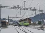 Die BLS Re 465 011 erreicht mit ihrem GoldenPass Express GPX 4065 von Interlaken Ost nach Montreux den Spurwechselbahnhof Zweisimmen.