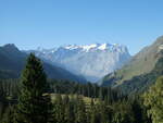 (255'767) - Das Wetterhorn am 1.