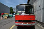 (186'581) - FBW-Club, M�nnedorf - ZH 123'180 - FBW/R&J (ex Tiemann, Oetwil Nr.