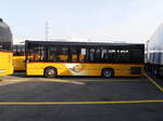 (233'862) - CarPostal Ouest - NE 49'619 - Solaris am 12.