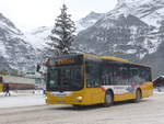 (223'160) - Grindelwaldbus, Grindelwald - Nr.