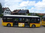 (182'001) - Moser, Flaach - Nr. 290/ZH 812'865 - Gppel Personenanhnger am 10. Juli 2017 in Altikon, Brckenwaage