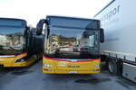 (283'104) - Niederer, Filzbach - Nr. 31/GL 44/PID 10'167 - MAN (ex Schwizer, Goldach; ex Casutt, Gossau) am 12. Dezember 2025 in Schmerikon, Thomann