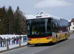 (272'344) - PostAuto Graubnden - GR 85'630/PID 12'107 - Scania am 22. Februar 2025 in Lantsch/Lenz, Biathlon-WM