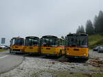 (239'831) - Schmid, Thrishaus - BE 26'206 - Saurer/Tscher (ex P 24'244) am 28.