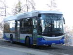 (233'018) - Interbus, Kerzers - VS 132'933 - Scania/Hess (ex TPL Lugano Nr.