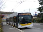 (269'310) - VBSH Schaffhausen - Nr. 101 - Hess/Hess Gelenktrolleybus am 21. November 2024 in Neuhausen, Herbstcker