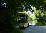 (276'111) - Welti-Furrer, Bassersdorf - Nr.
