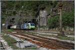 Gerade zu genial hingegen zeigen sich die Fotografie Möglichkeiten in der Gegenrichtung: Die BLS Re 485 und eine Re 475/193 an der Spitze eines Güterzug verlassen den 169 langen Tunnel  Iselle  und fahren durch den Bahnhof von Iselle di Trasquera. 

12. Sept.  2024