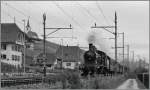 Die SBB (Historic) A 3/5 705 mit einem Extrazug bei Ligerz.