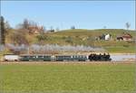 Eb 3/5 5810 mit ihrer Fuhre rund um den Napf am Tutensee. Februar 2019.