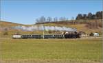 Eb 3/5 5810 mit ihrer Fuhre rund um den Napf am Tutensee. Februar 2019.