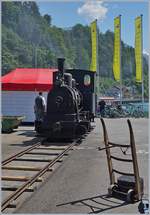 g-22/623405/schweizer-dampftage-brienz-2018-von-alters Schweizer Dampftage Brienz 2018: Von Alters her war die Magadino-Ebene eine fruchtbare Landschaft, bis 1515 ein Bergsturz die Gegend verwüstete. Mit dem Bau der Eisenbahn nach Locarno Ende des 19 Jahrhunderts wurde dann die Sumpflandschaft entwässert und der Ticino begradigt. Dazu erhielt das Consorzio Correzione del Fiume Ticino diese kleine G 2/2 Bn2t. Die Lok wurde von Arnold Jung in Jungenthal bei Kirchen im Jahre 1889 unter der Fabriknummer 59 gebaut. 1941 wurde die Lok abgestellt und am 20. Mai 2016 als Leihgabe der Familie Travani an Martin Horath abgegeben. Seit dem 3. Sept. 2016 fährt die Lok wieder. Das Bild zeigt die G 2/2 'Ticino' bei Pendelfahrt auf einem eigens dazu verlegten Gleis in Brienz im Rahmen der Schweizer Dampftage Brienz 2018 und bietet sich für Führerstandsfahren an. Auch wenn die Lok nicht so schön glänzt wie die SNCF 141 R 1244 mag ich sie ganz besonders, konnte ich doch das allererste Mal auf einer Dampflok mitfahren. 30. Juni 2018