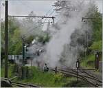 Kaum erkennbar, aber immerhin, die SEG G 2x 2/2 105 der Blonay-Chamby Bahn dampft und raucht in der Wartungsanlege von Chaulin herrlich Stimmungsvoll...