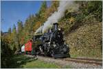 Die BFD HG 3/4 N° 3 der Blonay-Chamby Bahn ist kurz nach Chamby auf dem Weg nach Chaulin und fährt durch einen Waldabschnitt, der sich langsam aber sicher herbstlich verfärbt.