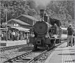 Die Brünigbahn Dampflok SBB G 3/4 208 stammt aus dem Jahre 1913 und gehört der Ballenberg Dampfbahn. 2013 wurde die Lok bei einem Remisenbrand schwer beschädigt, aber wieder aufgebaut und dampft nun wieder am Brienzersee. 

Brienz, den 30. Juni 2018