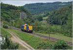 Seit 160 Jahren fahren Züge über den Hauenstein und obwohl die Strecke durch den Hauenstein Basistunnel bereists 1916 zur Nebenbahn degradiert wurde, gibt es wohl nicht viele Fahrzeugtypen,